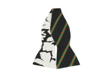 Rorschach Inkblot Floral & Striped Reversible Bow Tie - Fine And Dandy