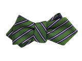 Multi Colored Dots & Green Striped Reversible Bow Tie - Fine And Dandy