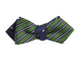 Multi Colored Dots & Green Striped Reversible Bow Tie - Fine And Dandy