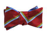 Pecking Birds & Striped Reversible Bow Tie - Fine and Dandy