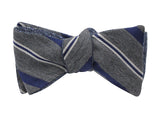 Blue Striped & Dots Reversible Bow Tie - Fine And Dandy