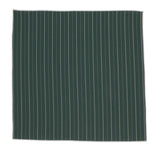 Green Striped Cotton Pocket Square - Fine And Dandy