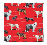 Red Kennel Club Cotton Pocket Square - Fine And Dandy