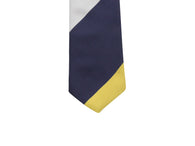 Blue & Gold Bold Striped Silk Tie - Fine And Dandy