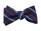 Blue Striped Cashmere Bow Tie - Fine And Dandy