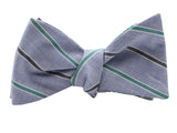 Striped & Floral Reversible Bow Tie - Fine And Dandy