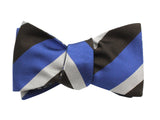Blue & Silver Florette & Striped Reversible Bow Tie - Fine And Dandy